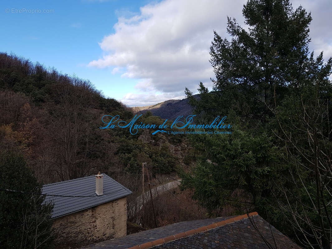 Saint André de Valborgne, maison de hameau rénovée avec terrasse - photo 5