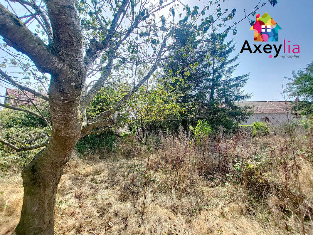 A vendre - st hilaire sous charlieu - maison a renover, 7 chambres, terrain et dependances - photo 13