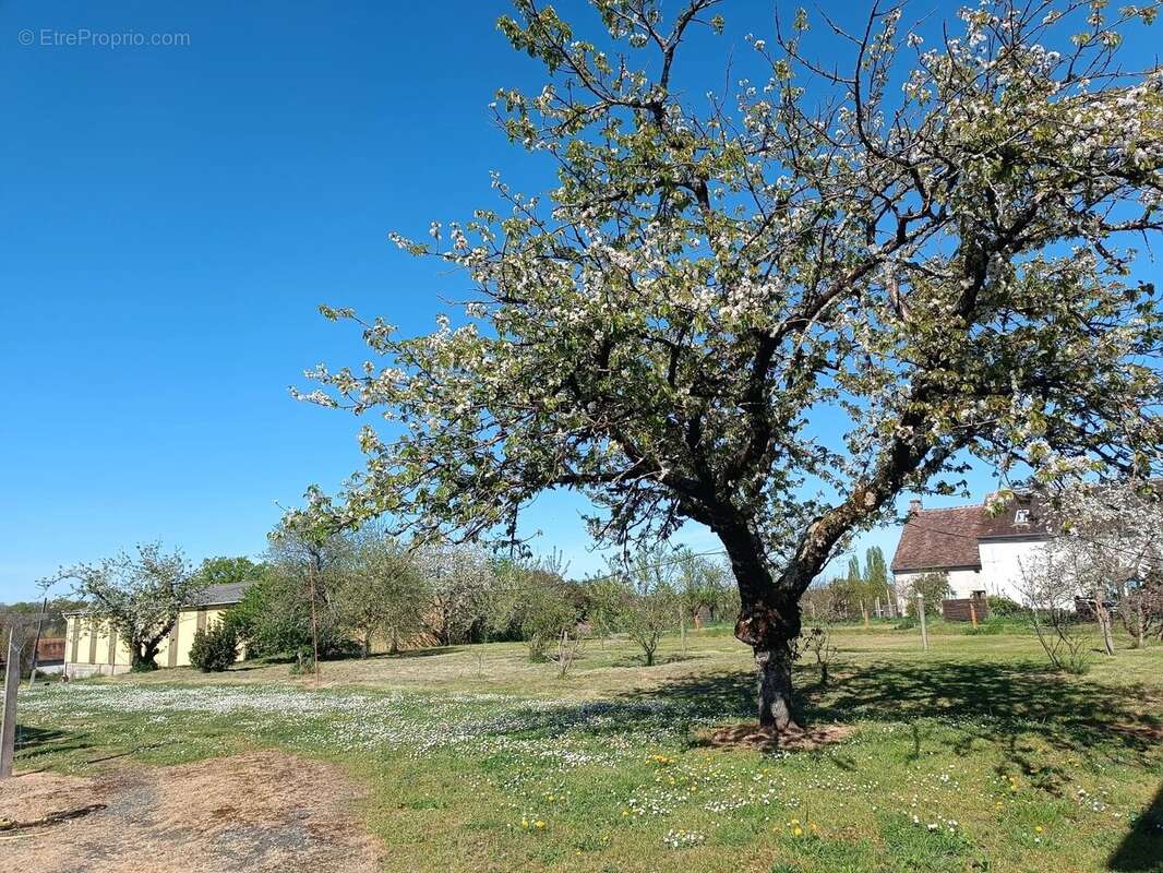 Maison à MONTMORILLON