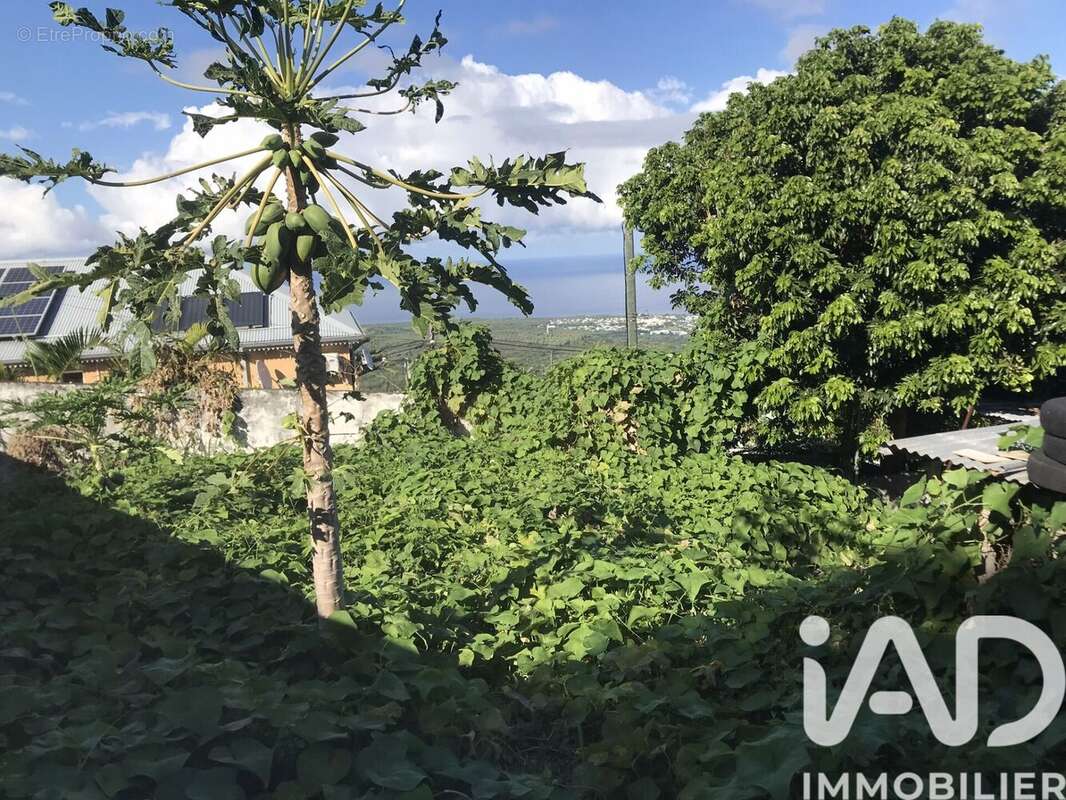 Photo 7 - Terrain à LES AVIRONS