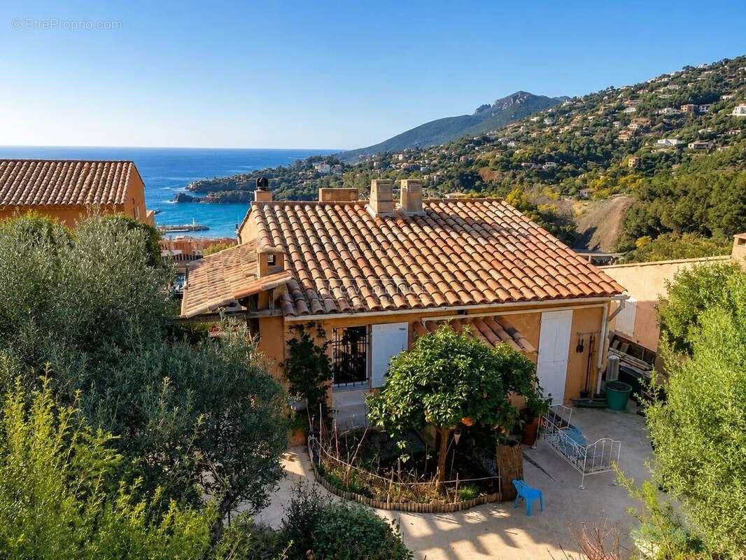 Appartement à THEOULE-SUR-MER