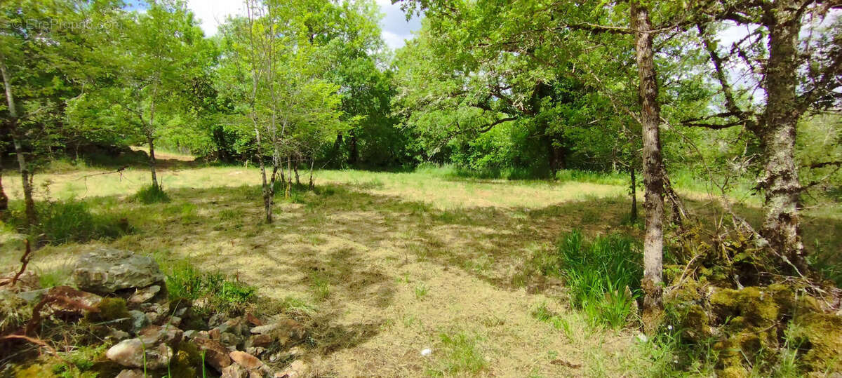 Maison à SAINT-PROJET