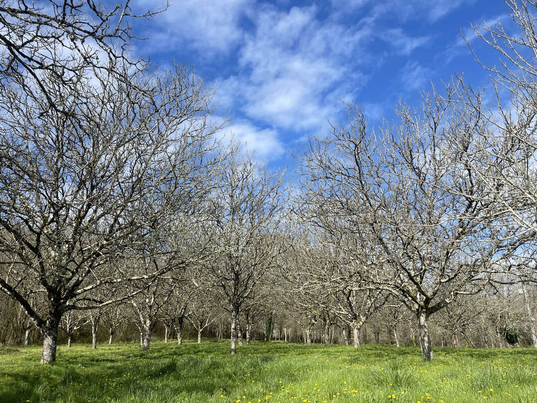 Maison à CHANTERAC