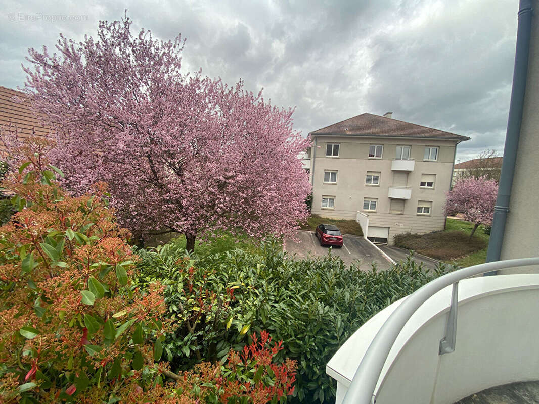 Appartement à DIJON