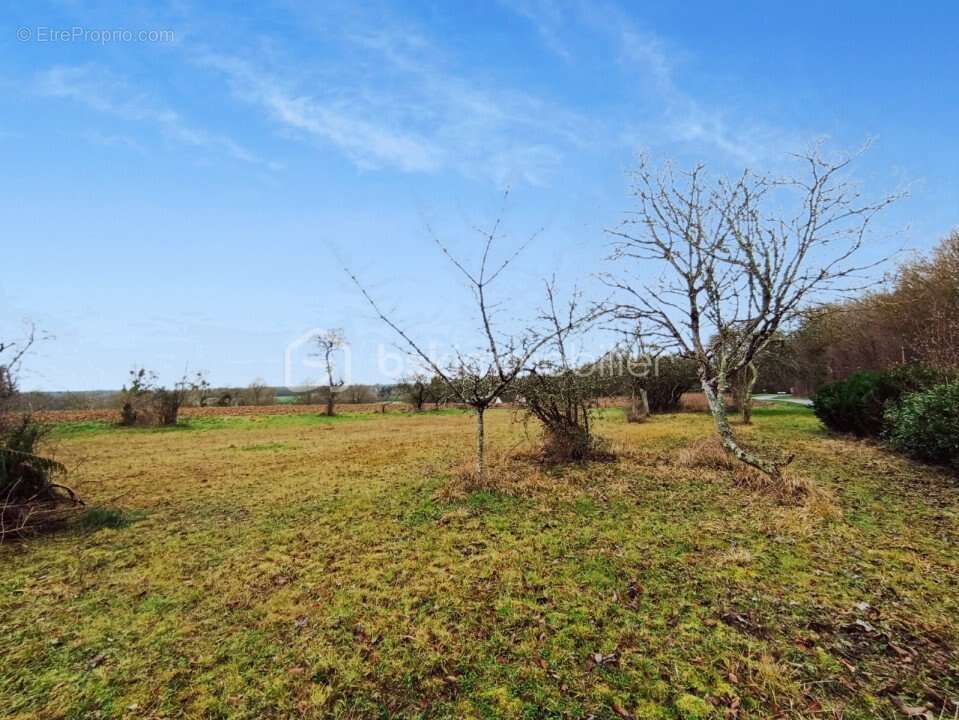 Maison à AUVILLIERS-EN-GATINAIS