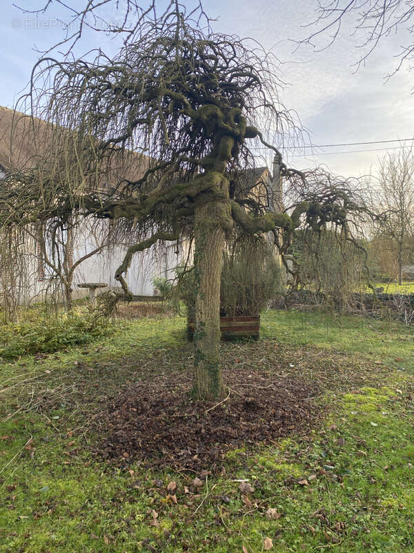 Maison à MAIZIERES-LA-GRANDE-PAROISSE