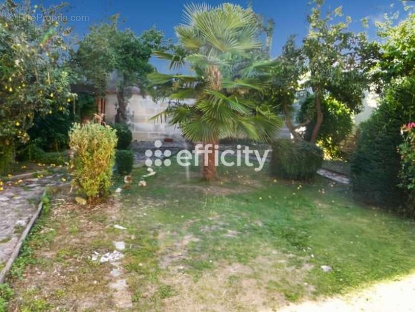 Appartement à SAINT-JEAN-D&#039;ANGELY