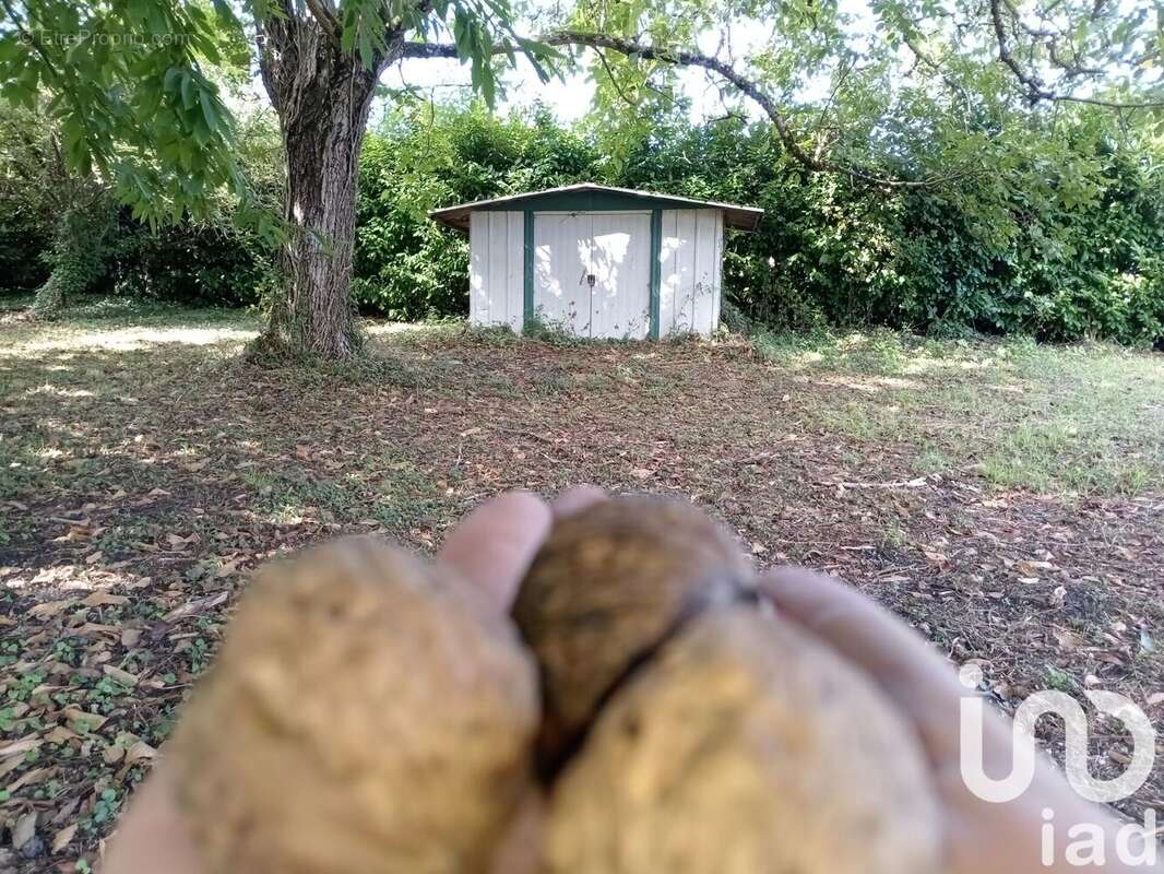 Photo 4 - Terrain à BLANZY