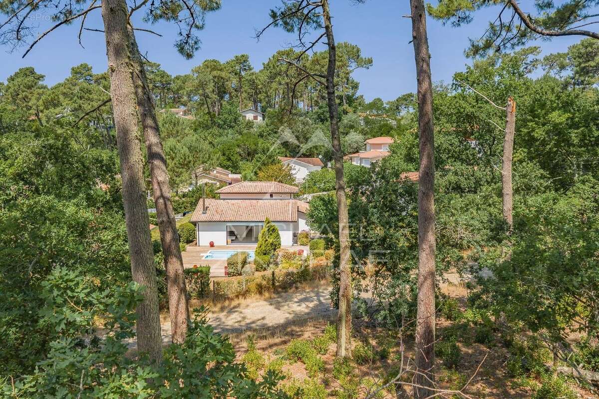 Maison à LE BOUSCAT