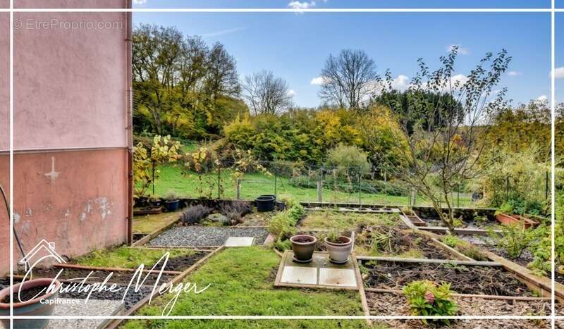 Maison à vendre en viager 1 chambre 62 m² à Fremifontaine (88) proche de Rambervillers, avec jardin, au calme - photo 4