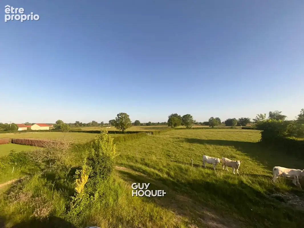 Maison Vitry En Charollais !!! - photo 16
