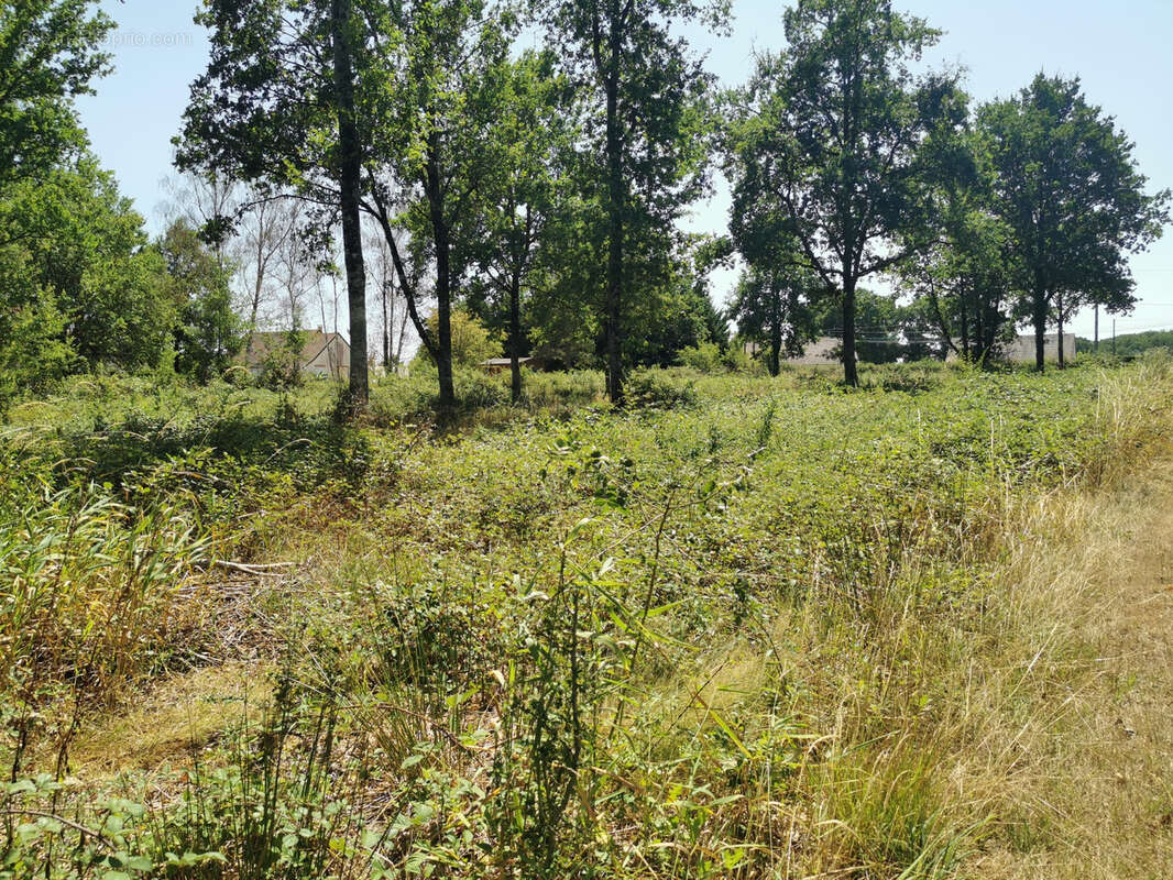 Beau terrain constructible avec vue sur étang - photo 3