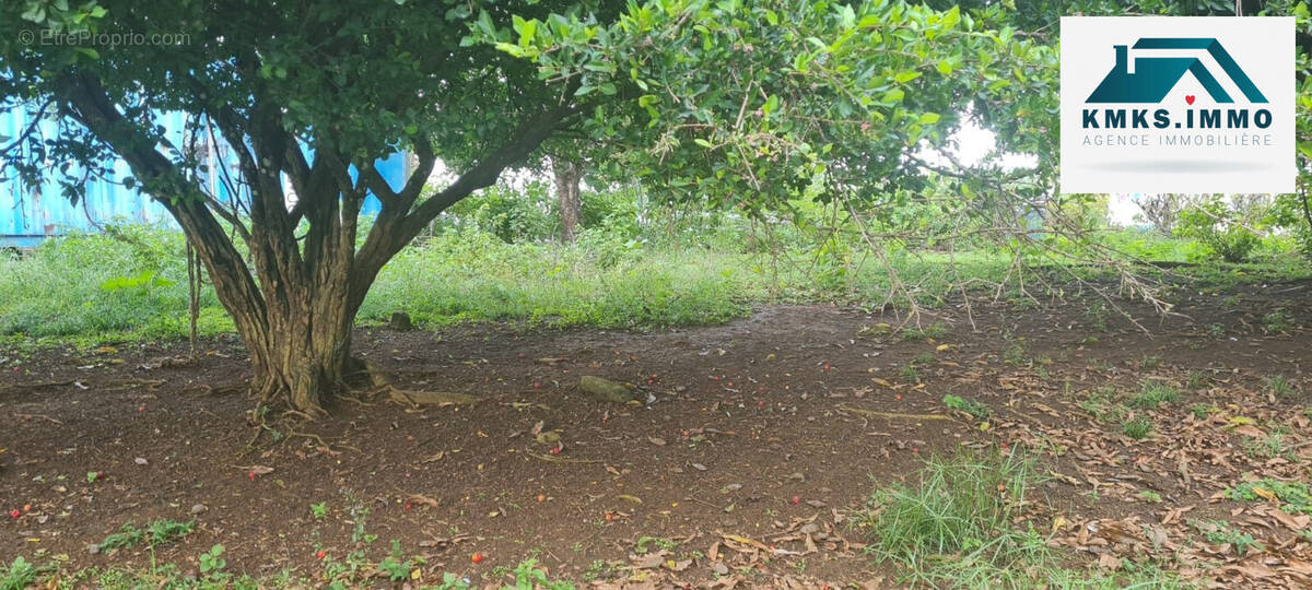 Terrain à LE LAMENTIN