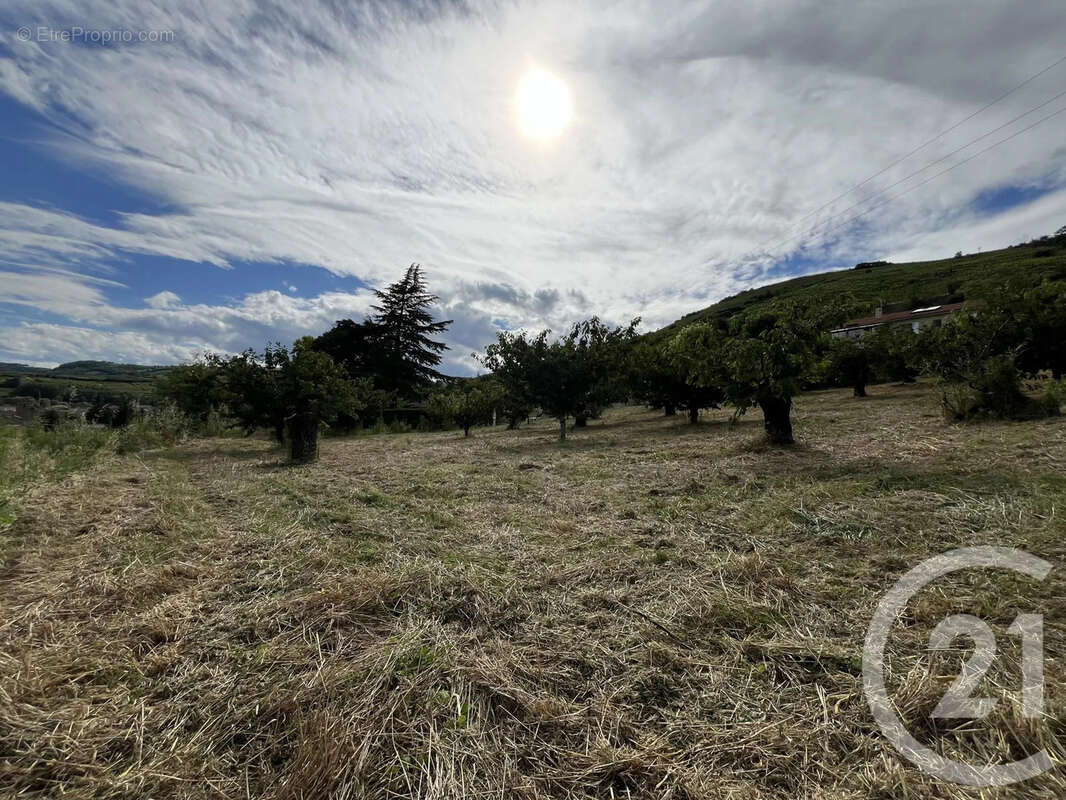 Terrain à SAINT-DESIRAT