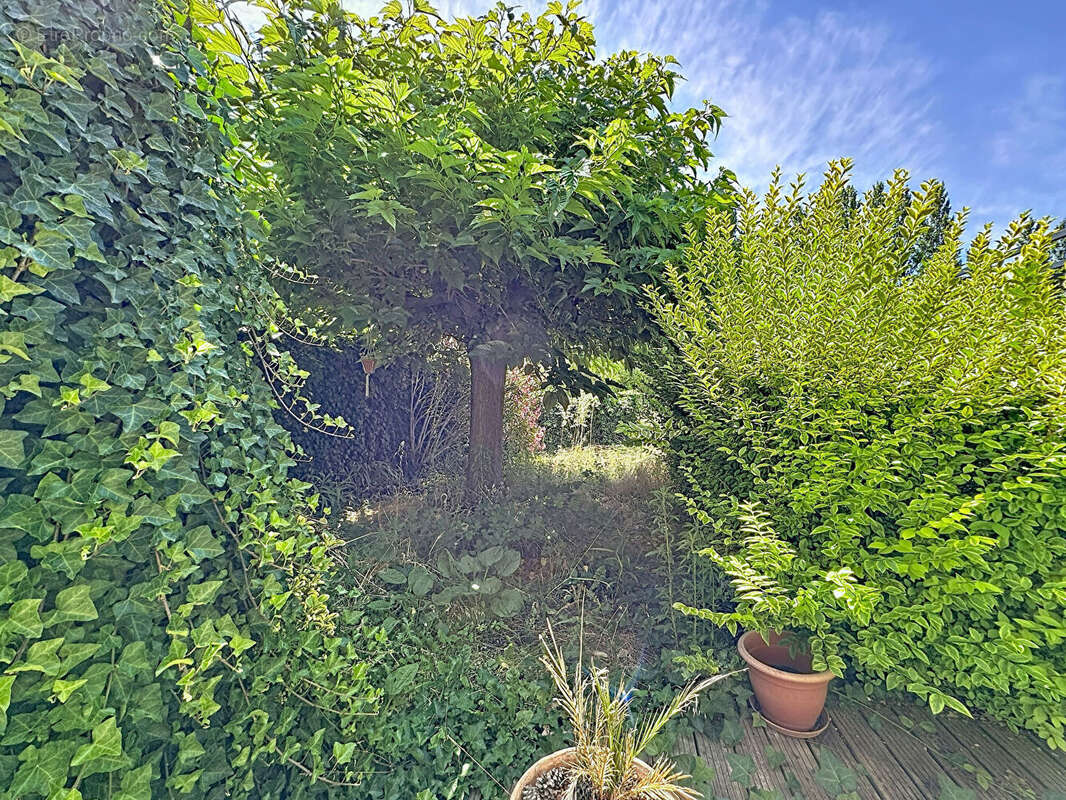Maison T2bis 60m² avec jardin Entraigues Sur La Sorgue - photo 10