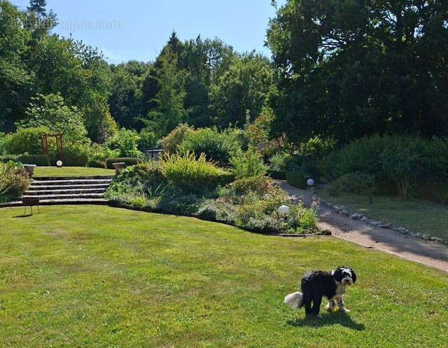 Manoir du Pays d'Auge - photo 15