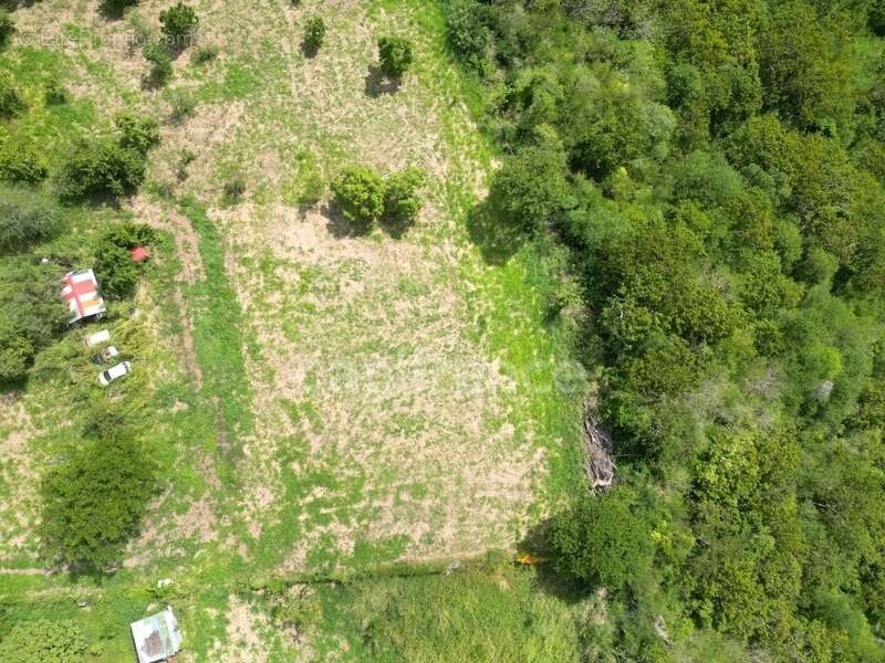 Terrain à LE CARBET