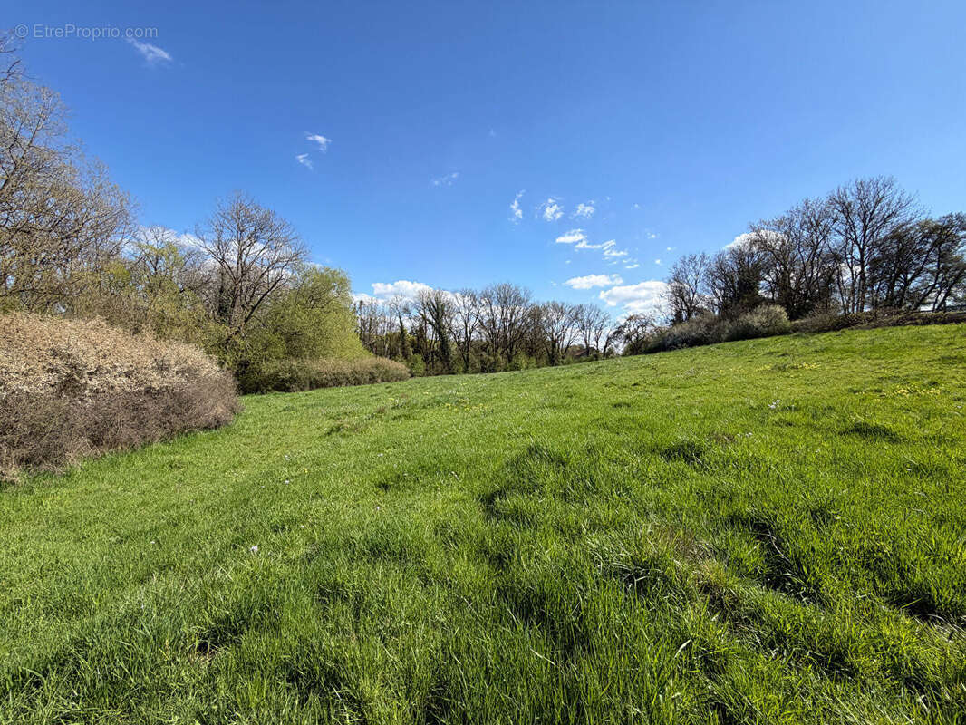 Grange Waldwisse de 250 m²  sur un terrain de  3 hectares et 63 ares - photo 3