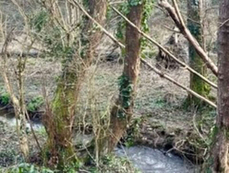 Maison à LA ROCHE-SUR-YON