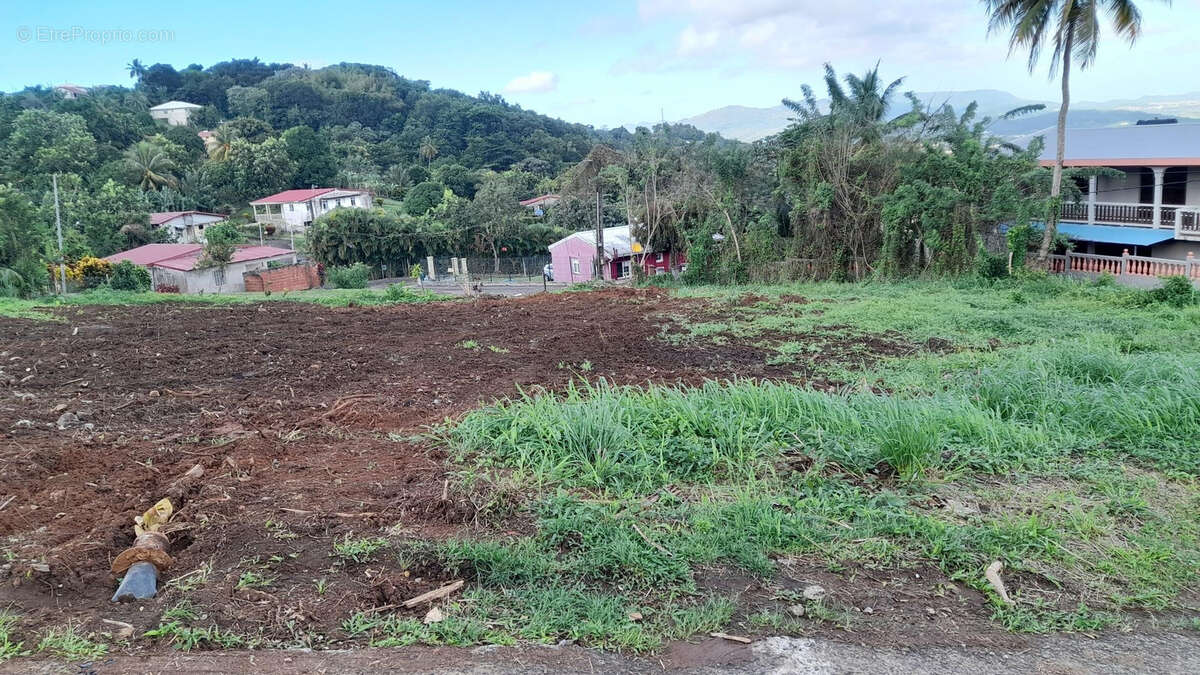 Terrain à RIVIERE-SALEE