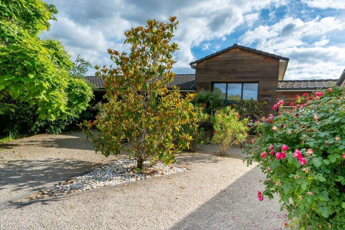 Maison Auriac Du Perigord 8 pièce(s) 243.76 m2 - photo 17