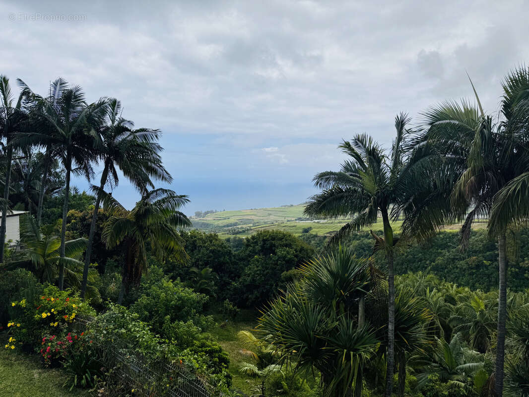 Maison à SAINT-JOSEPH