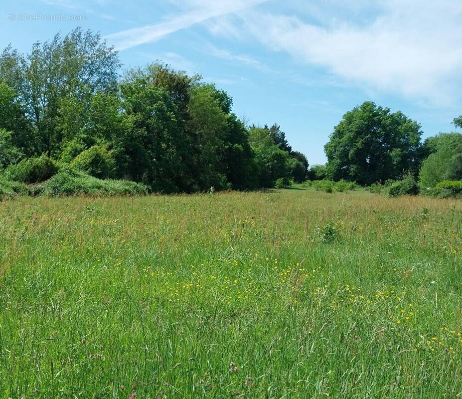 Terrain à SAINT-MEDARD-DE-MUSSIDAN