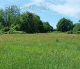 Terrain à SAINT-MEDARD-DE-MUSSIDAN