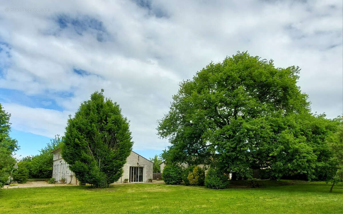 Maison à SAINT-FORT-SUR-GIRONDE