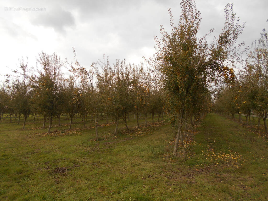 Terrain à SAINT-BRICE-DE-LANDELLES