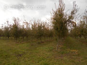 Terrain à SAINT-BRICE-DE-LANDELLES
