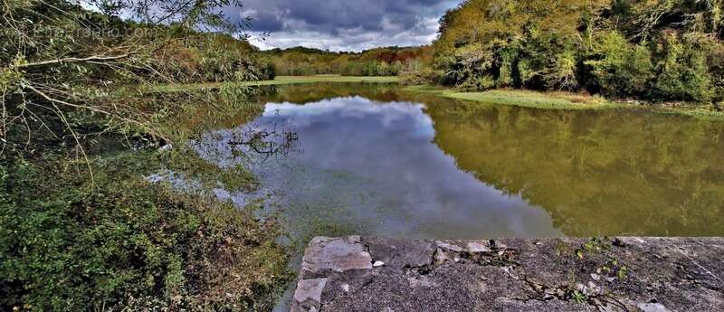 Maison à SAINT-MARTIN-DE-SEIGNANX