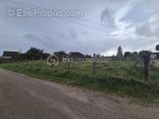 Terrain à CHAMPLOST