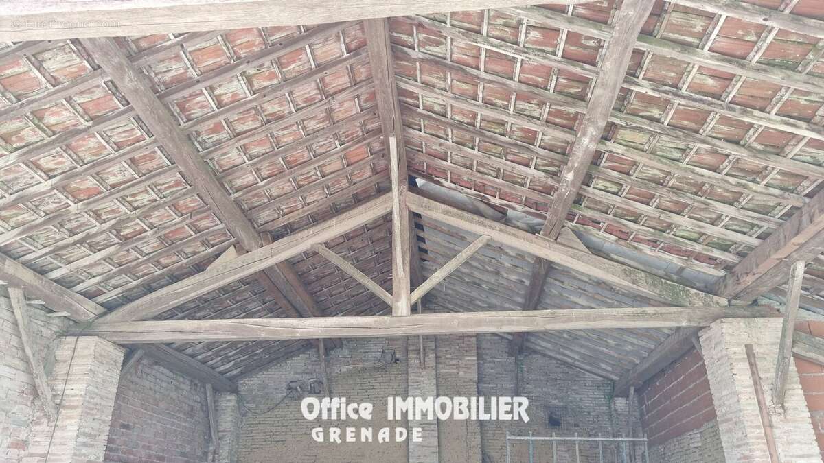 Commerce à PELLEPORT