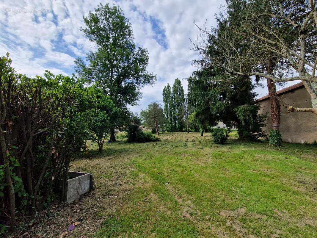 Terrain à SAINT-CIERS-SUR-GIRONDE