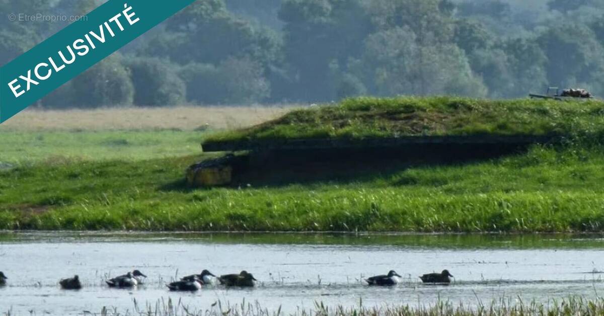 Photo 1 - Terrain à CARENTAN