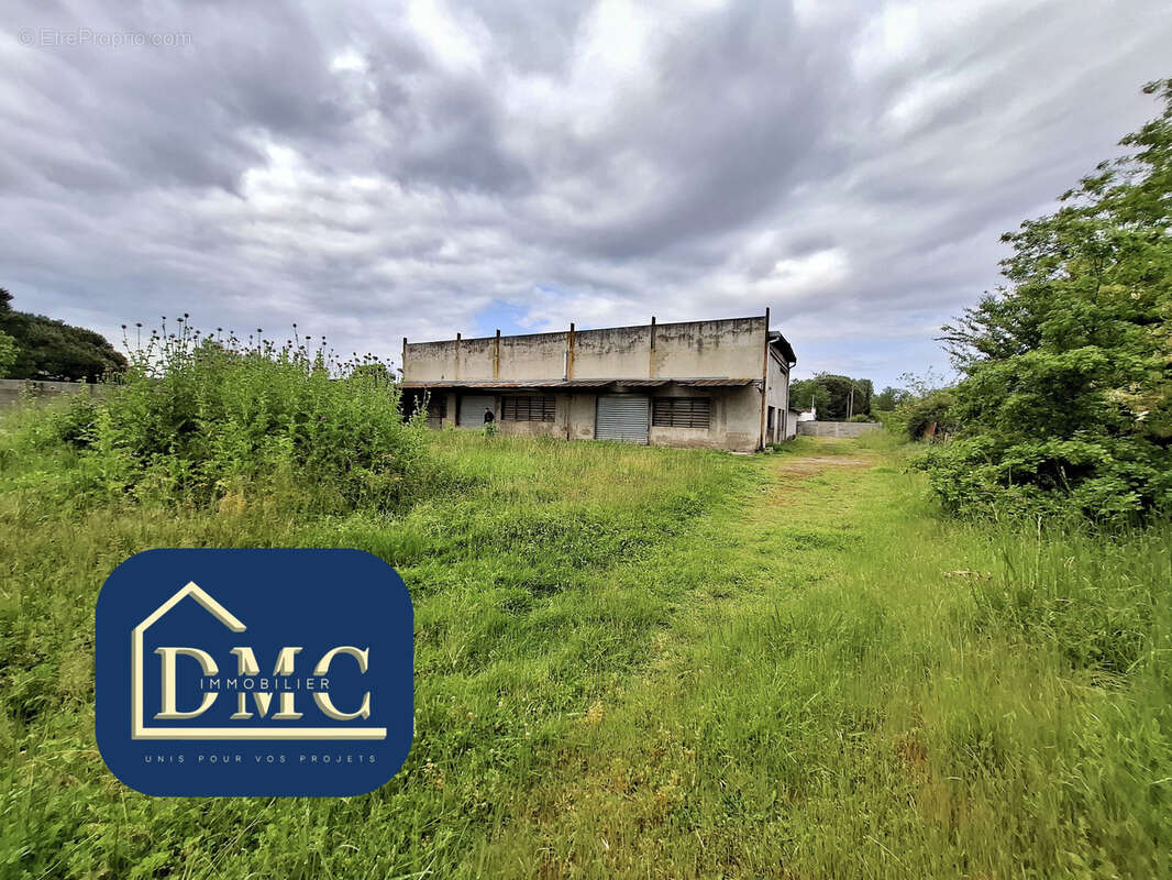 Commerce à AUTERIVE