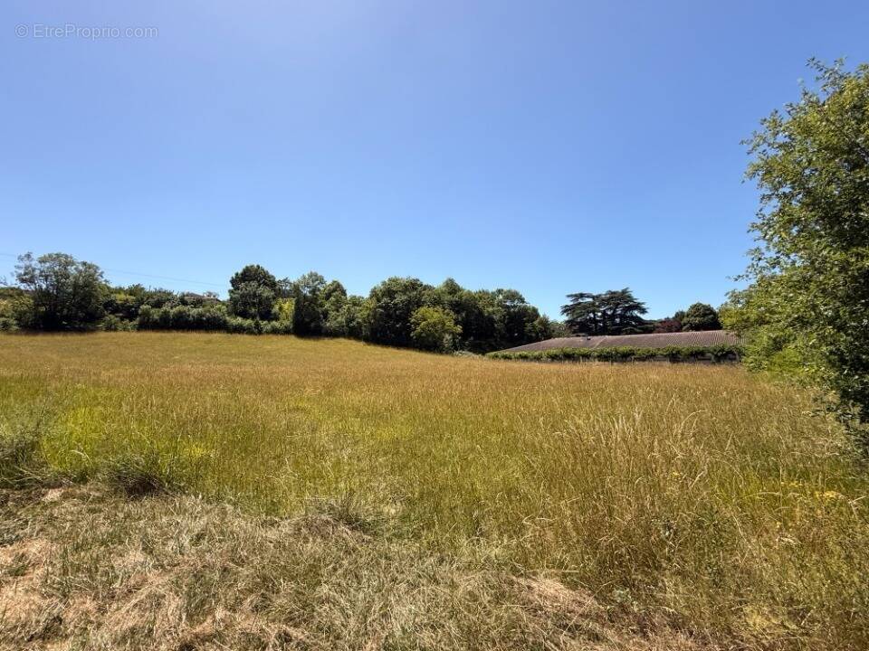 Terrain à AURIAC-SUR-VENDINELLE