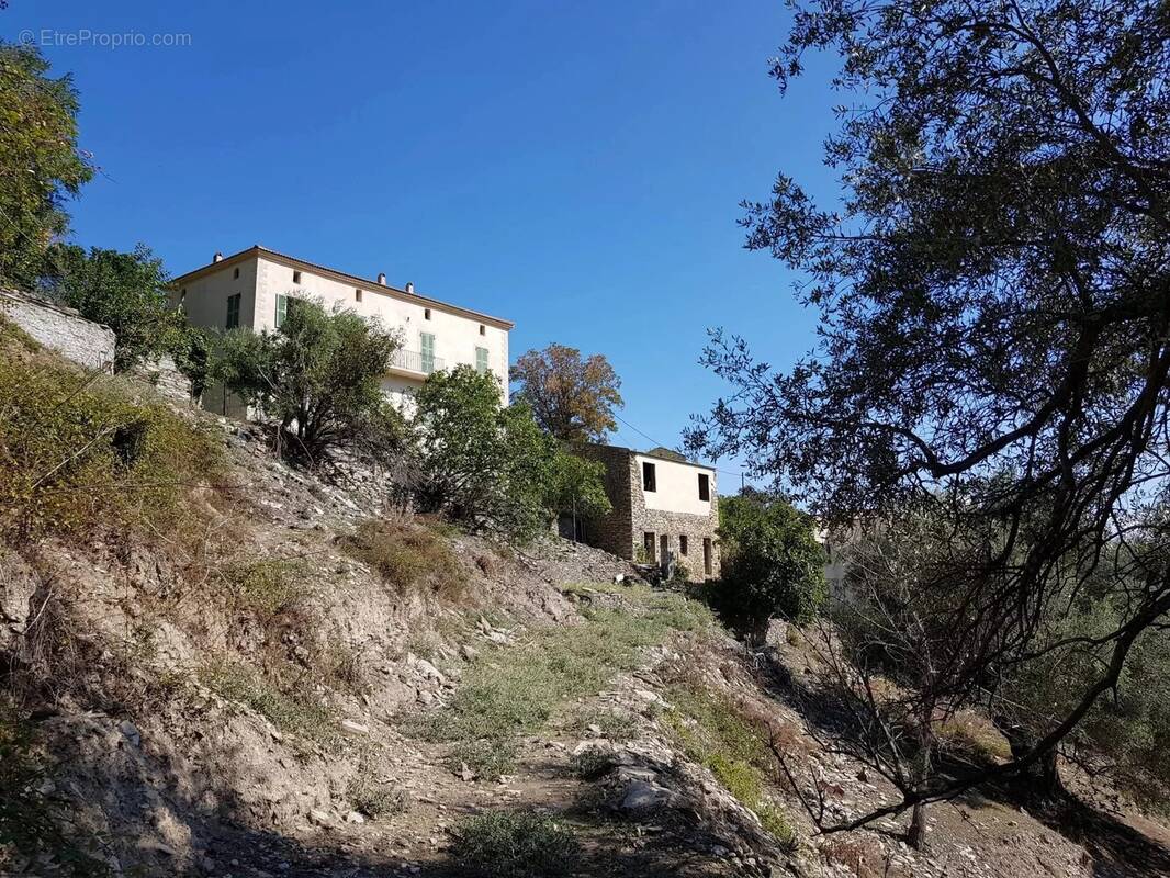 Maison à SANTO-PIETRO-DI-TENDA