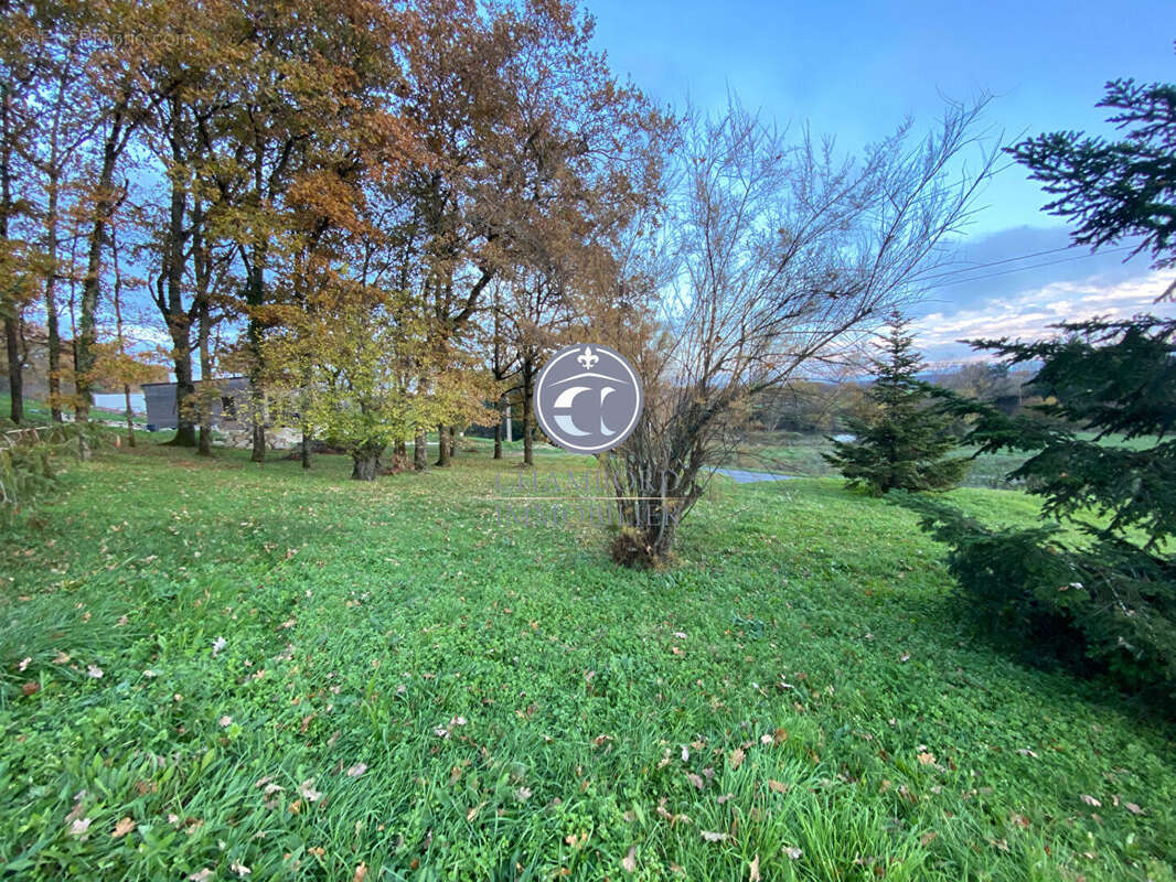 Terrain à CHOUZY-SUR-CISSE