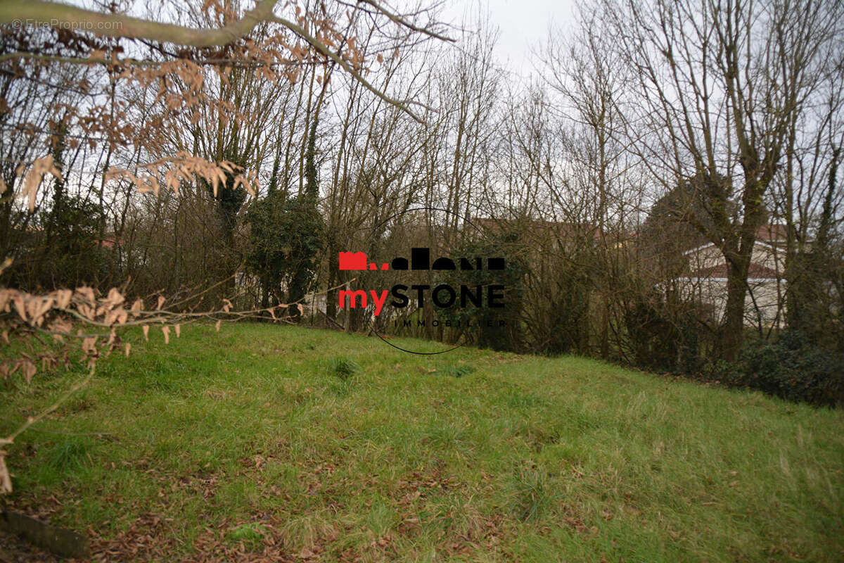 CHATILLON SUR CHALARONNE - Grange à aménager sur 540 m² de terrain - photo 10
