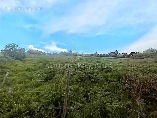 Terrain à LANSARGUES