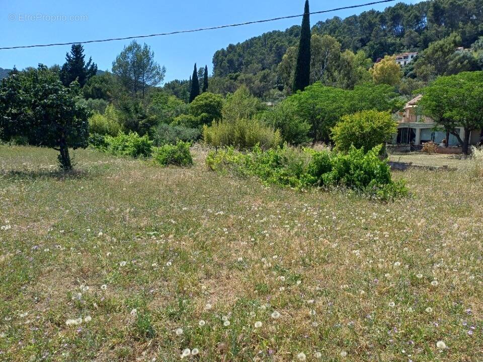 Terrain à SOLLIES-PONT