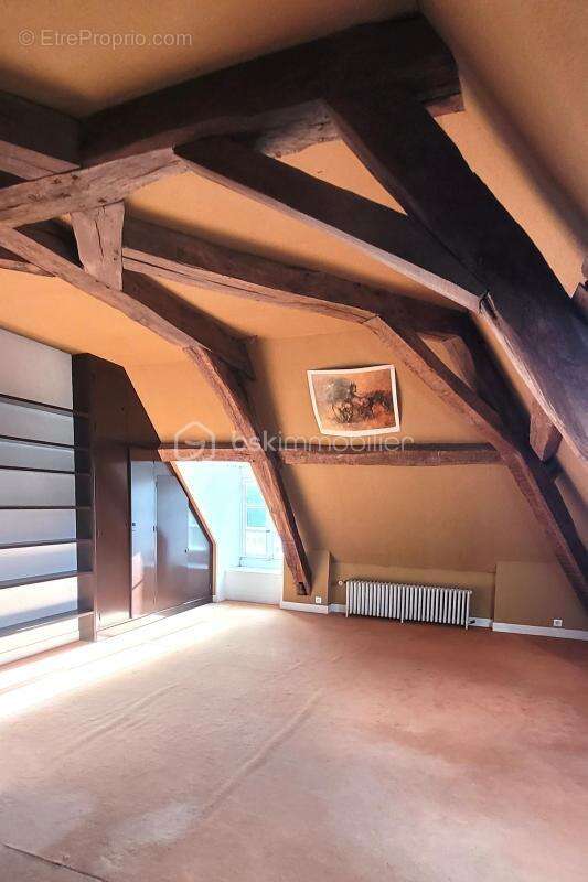 Hôtel particulier au cœur de ville / centre historique - photo 21