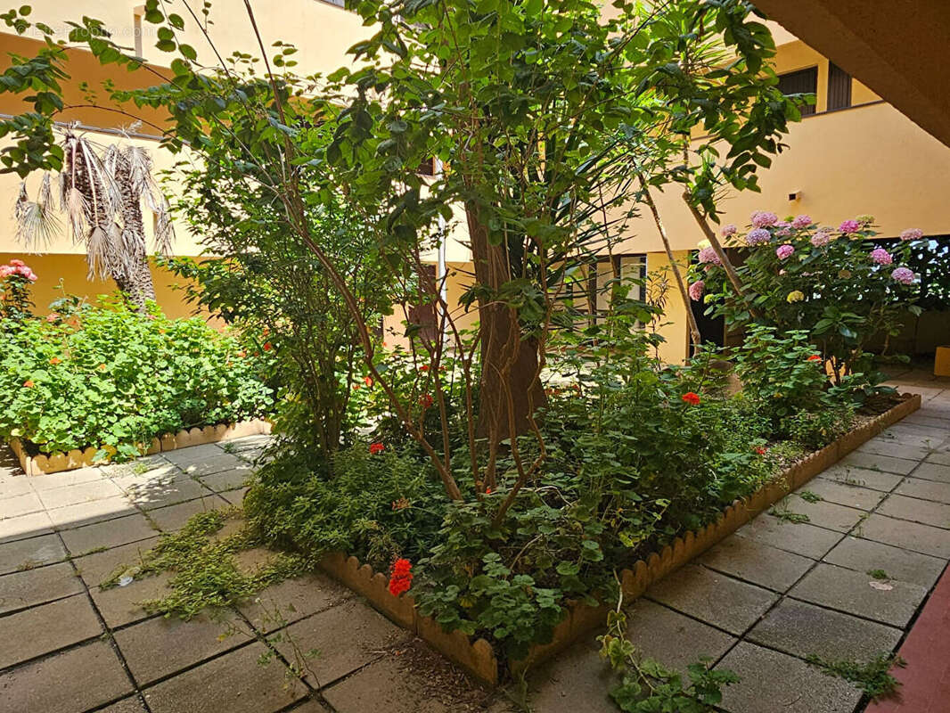 T3 - la grande plage - le barcares - photo 11