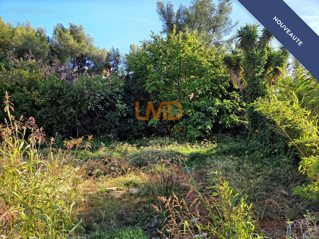 Terrain à LE CASTELLET