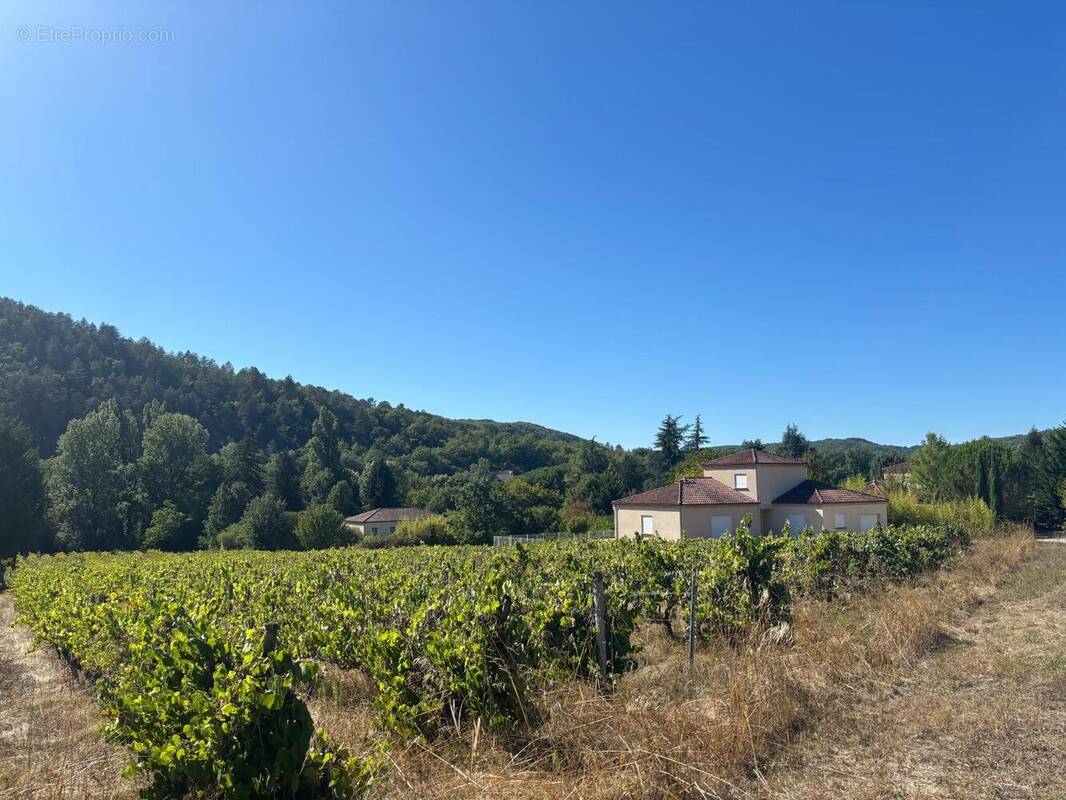 Photo 1 - Maison à LUZECH