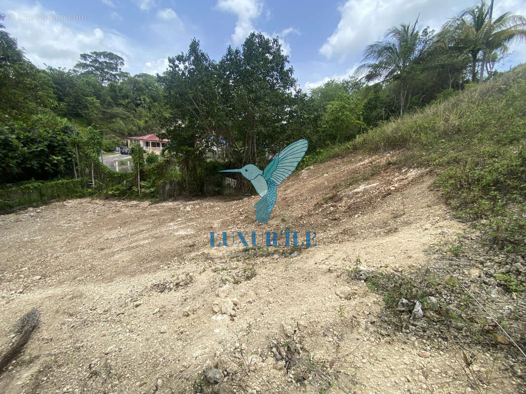 Terrain constructible de 1 223 m2   Plat, viabilisé et clôturé - photo 3