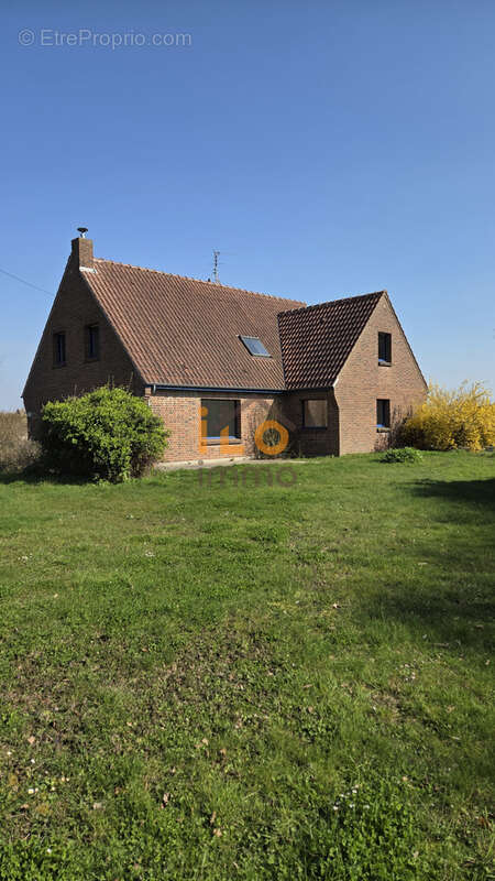 Maison à VERLINGHEM