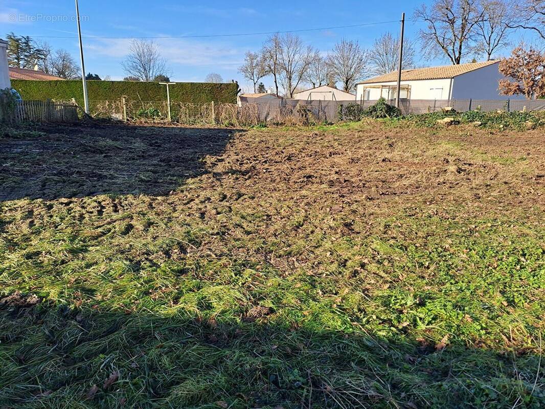 Terrain à CHANIERS